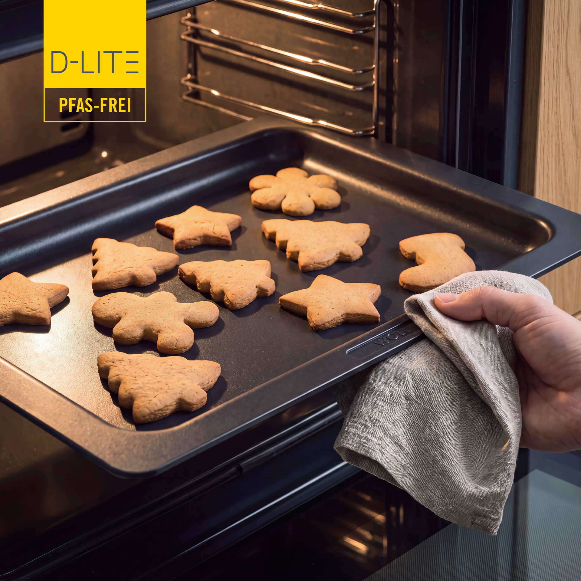 D-Lite Backplatte flach