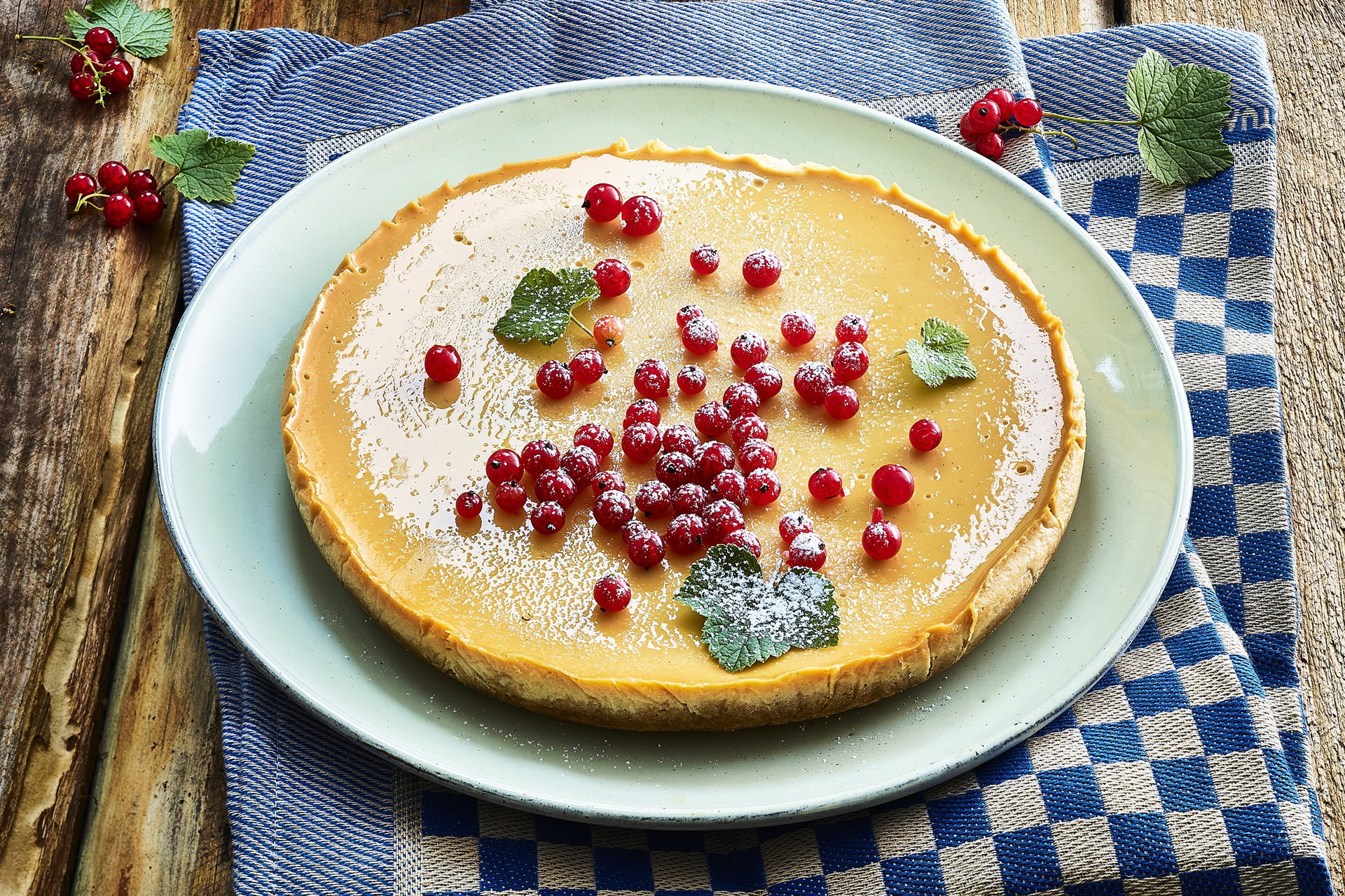 Auf einem Teller liegt eine frisch gebackene Honigtarte, die mit Johannisbeeren garniert ist.